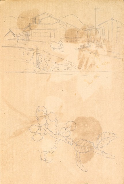 藏品:1930年代植物、動物、人物寫生集的(37)張圖片