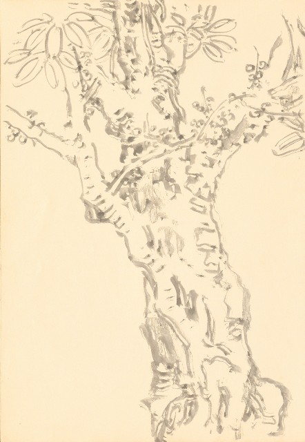 藏品:曼谷水市、鳥、神戶、猿、虎、新加坡等027的(2)張圖片