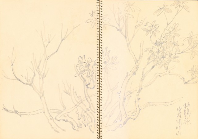 藏品:曼谷水市、鳥、神戶、猿、虎、新加坡等027的(3)張圖片