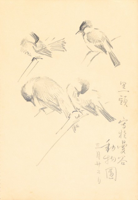 藏品:曼谷水市、鳥、神戶、猿、虎、新加坡等027的(5)張圖片