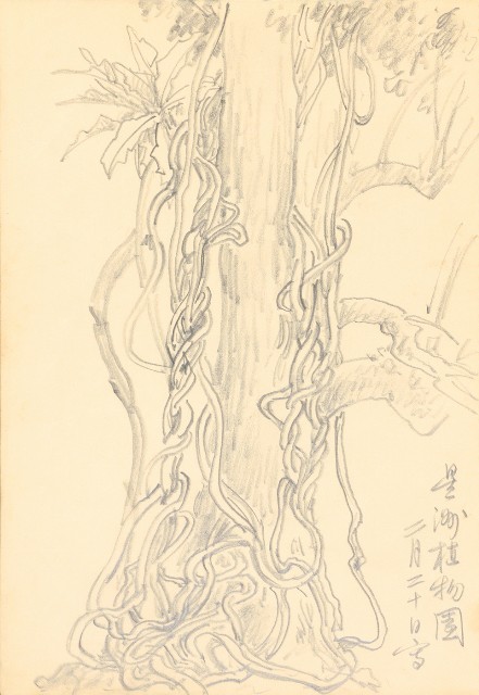 藏品:曼谷水市、鳥、神戶、猿、虎、新加坡等027的(15)張圖片