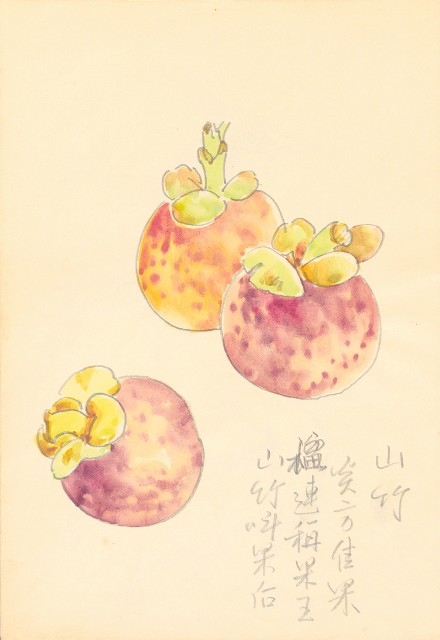 藏品:曼谷水市、鳥、神戶、猿、虎、新加坡等027的(18)張圖片