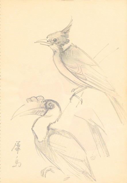 藏品:曼谷水市、鳥、神戶、猿、虎、新加坡等027的(19)張圖片