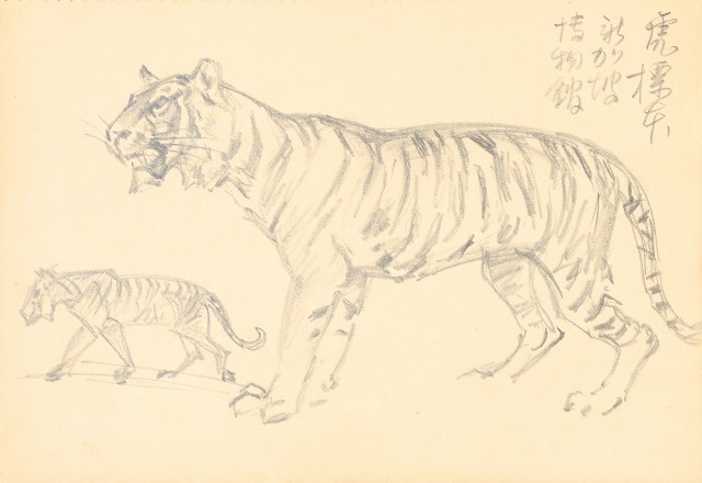 藏品:曼谷水市、鳥、神戶、猿、虎、新加坡等027的(21)張圖片