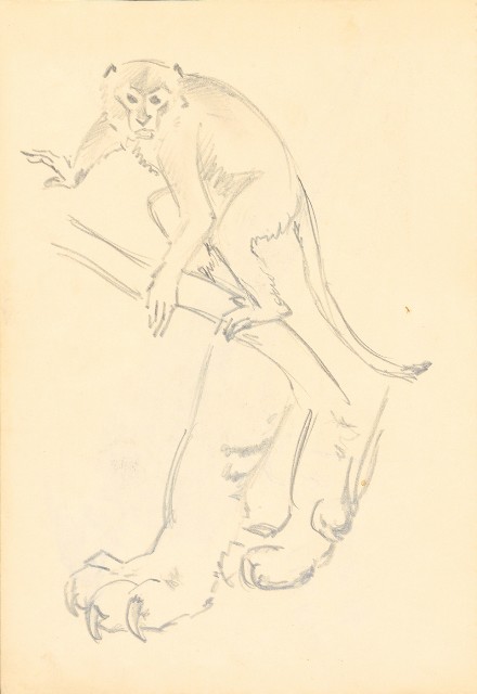 藏品:曼谷水市、鳥、神戶、猿、虎、新加坡等027的(23)張圖片