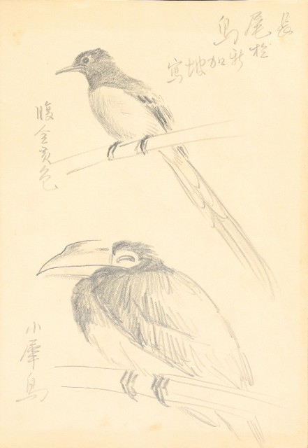 藏品:曼谷水市、鳥、神戶、猿、虎、新加坡等027的(25)張圖片