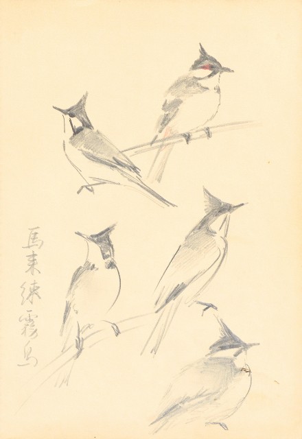 藏品:曼谷水市、鳥、神戶、猿、虎、新加坡等027的(28)張圖片