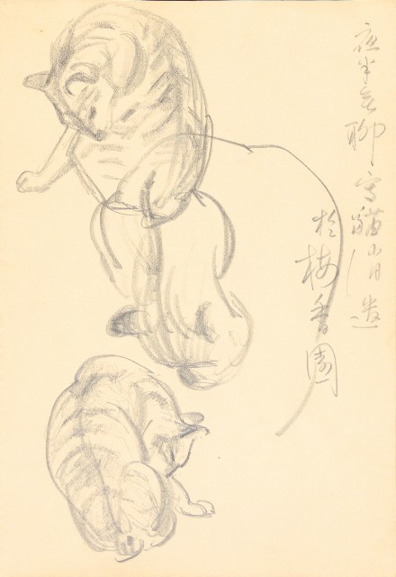 藏品:曼谷水市、鳥、神戶、猿、虎、新加坡等027的(43)張圖片