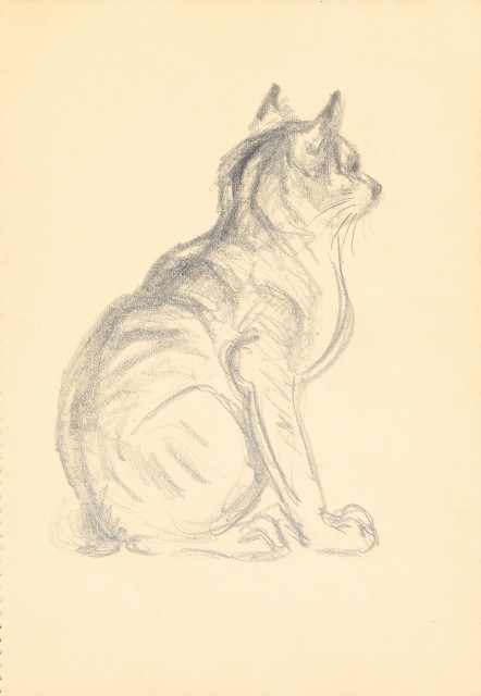 藏品:曼谷水市、鳥、神戶、猿、虎、新加坡等027的(45)張圖片