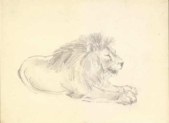 藏品:(1)獅(鉛描);(2)鸚鵡(炭描)的(1)張圖片