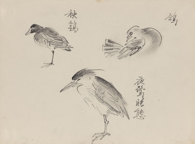 藏品:夜鷺及鴿(炭描)的(1)張圖片