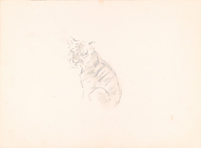 藏品:虎(鉛描)的(1)張圖片
