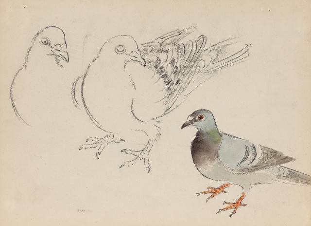 藏品:(1)鴿;(2)石碇風景(水墨)的(1)張圖片