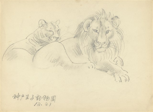 藏品:(1)神戶王子動物園(獅);(2)白鷺鷥群的(1)張圖片