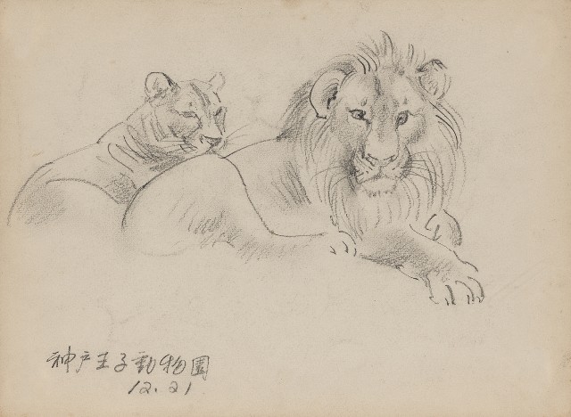 藏品:(1)神戶王子動物園(獅);(2)白鷺鷥群的(1)張圖片