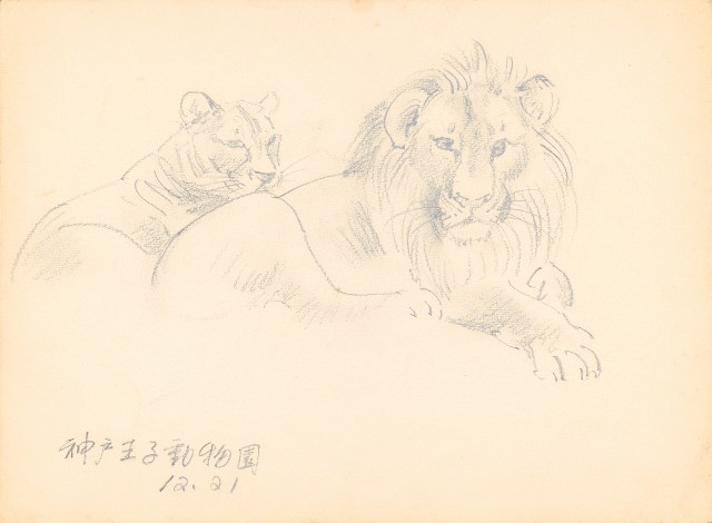藏品:(1)神戶王子動物園(獅);(2)白鷺鷥群的(2)張圖片