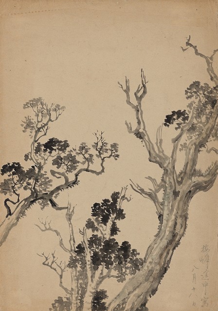 藏品:梅峰途中(高山樹)的(1)張圖片