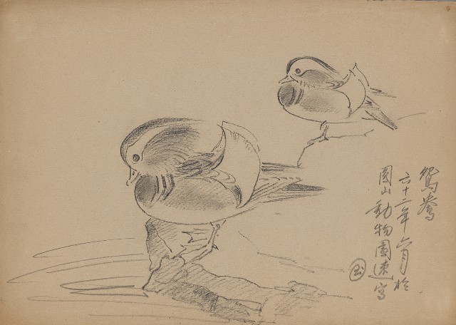 藏品:(1)鴛鴦;(2)長嘴鷗的(1)張圖片