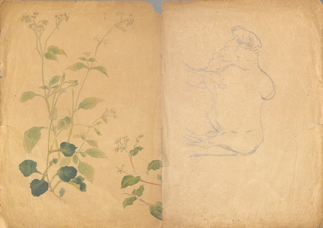 藏品:(1)山景；(2)野牛及野花的(3)張圖片