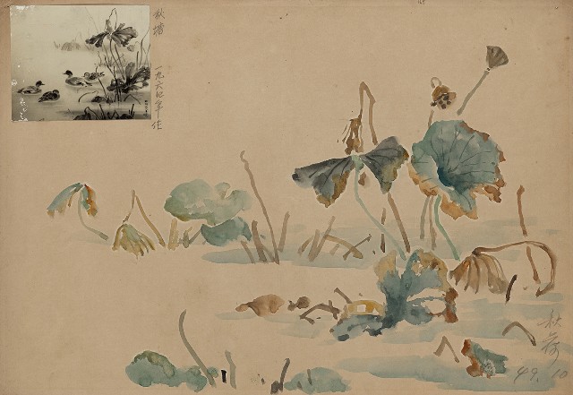 藏品:秋荷的(1)張圖片