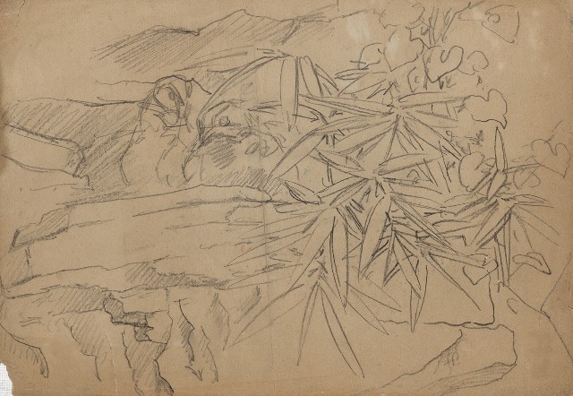 藏品:竹鳥的(1)張圖片