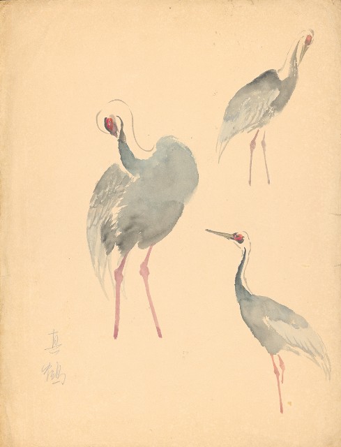 藏品:真鶴的(1)張圖片
