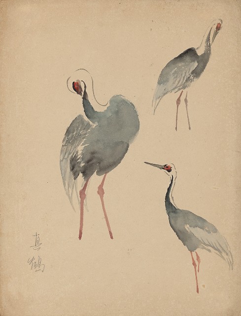 藏品:真鶴的(1)張圖片