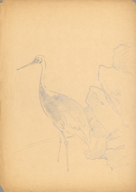 藏品:真鶴(鉛筆畫)的(1)張圖片