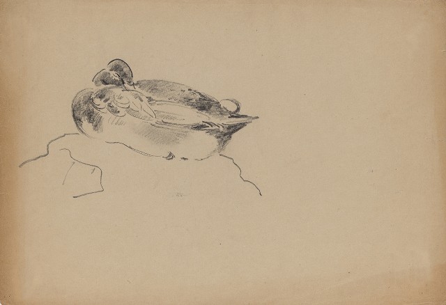 藏品:(1)綠頭鴨;(2)菜鴨的(1)張圖片