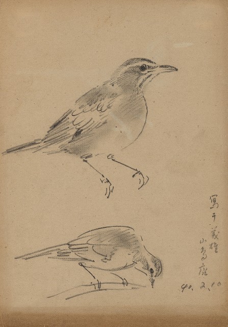 藏品:(1)鳥(鶇);(2)鳥(鶇)的(1)張圖片