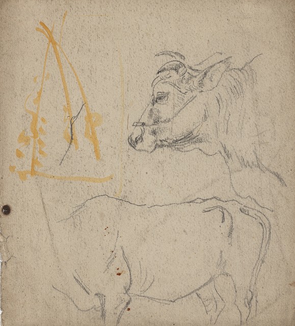 藏品:(1)黃牛;(2)村景的(1)張圖片