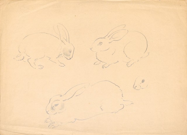 藏品:(1)兔;(2)兔的(3)張圖片