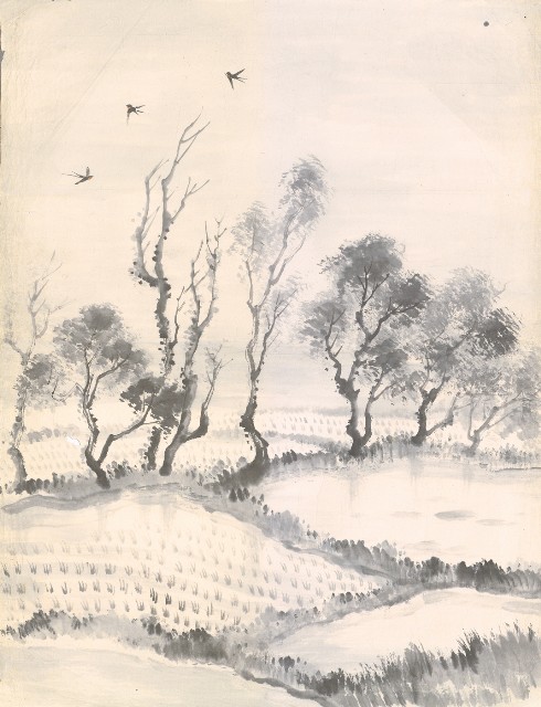 藏品:鄉村、燕的(1)張圖片