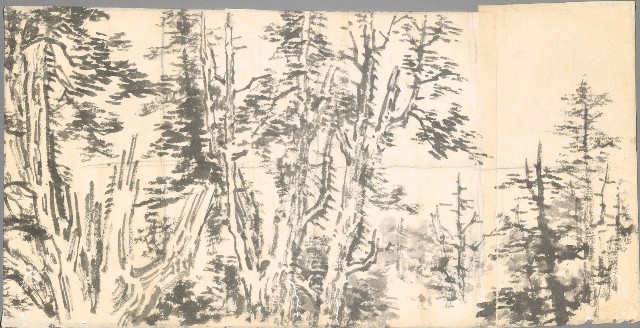 藏品:高山樹的(1)張圖片