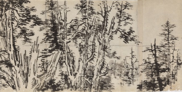 藏品:高山樹的(1)張圖片