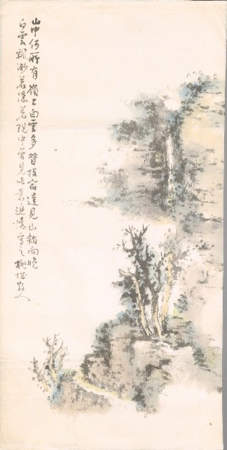 藏品:山樹木的(1)張圖片