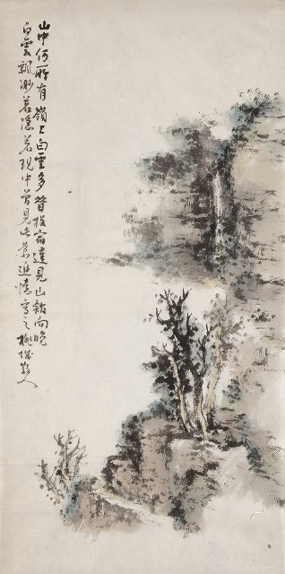 藏品:山樹木的(1)張圖片