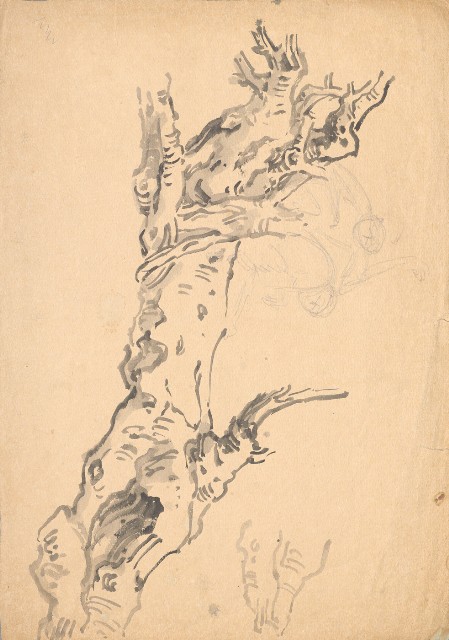 藏品:(1)樹幹;(2)樹幹的(2)張圖片