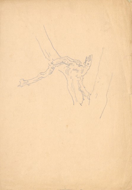 藏品:(1)樹幹;(2)樹幹的(3)張圖片