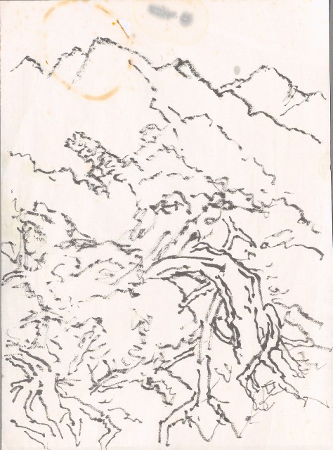 藏品:山景草稿的(1)張圖片