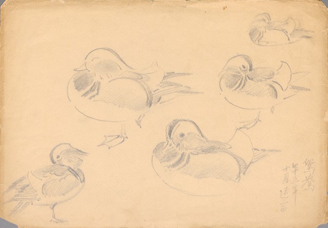 藏品:鴛鴦的(1)張圖片