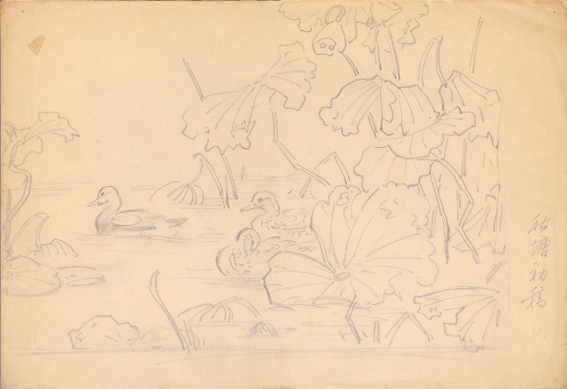 藏品:秋塘初稿的(1)張圖片