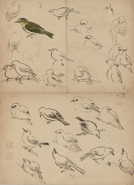 藏品:(1)繡眼鳥姿態;(2)牡丹的(1)張圖片