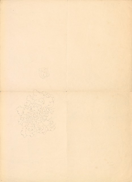 藏品:(1)繡眼鳥姿態;(2)牡丹的(2)張圖片