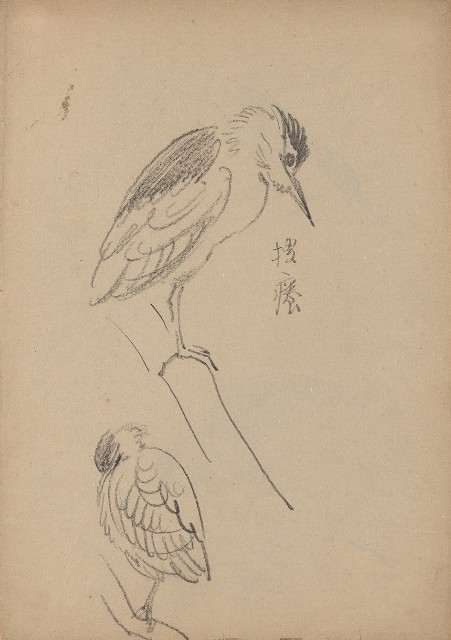 藏品:(1)水鳥夜鷺(搔癢);(2)水鳥夜鷺的(1)張圖片