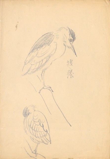 藏品:(1)水鳥夜鷺(搔癢);(2)水鳥夜鷺的(2)張圖片