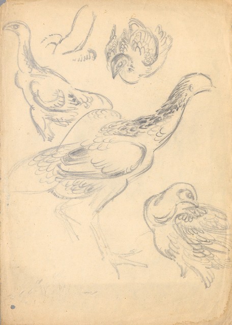 藏品:鬪雞(各種型態)的(1)張圖片