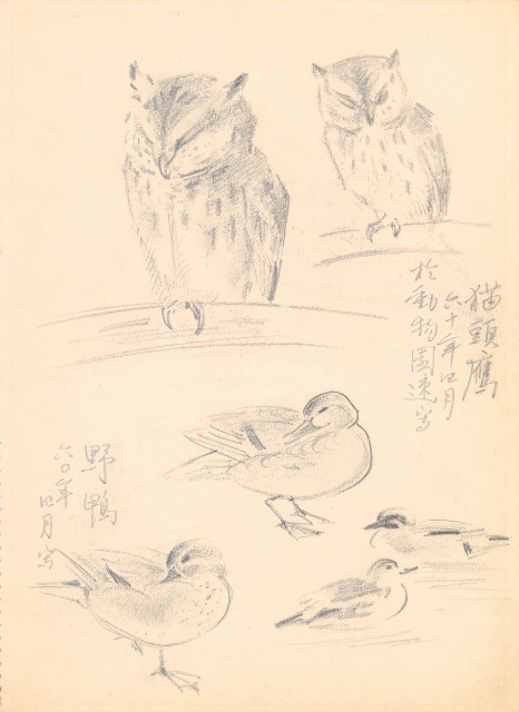藏品:(1)貓頭鷹及野鴨;(2)蒼鶴的(1)張圖片
