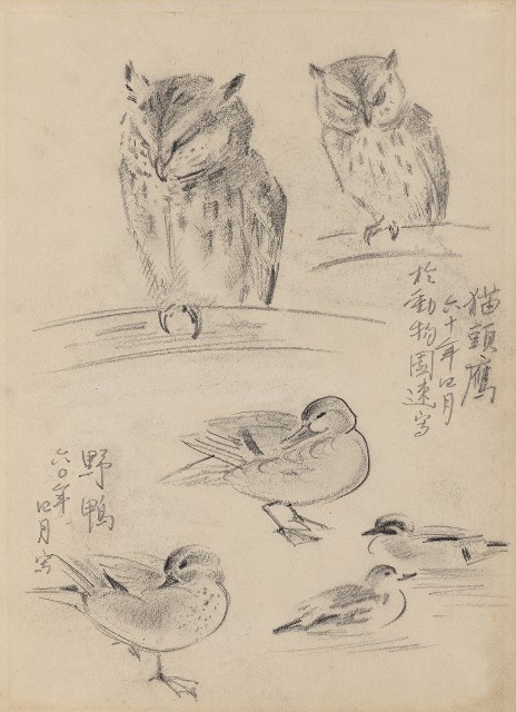 藏品:(1)貓頭鷹及野鴨;(2)蒼鶴的(1)張圖片