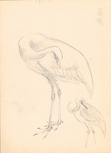 藏品:(1)貓頭鷹及野鴨;(2)蒼鶴的(2)張圖片